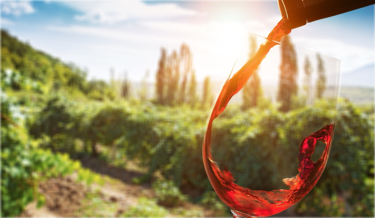 Yarra Valley grape vines for private winery chauffeur tours