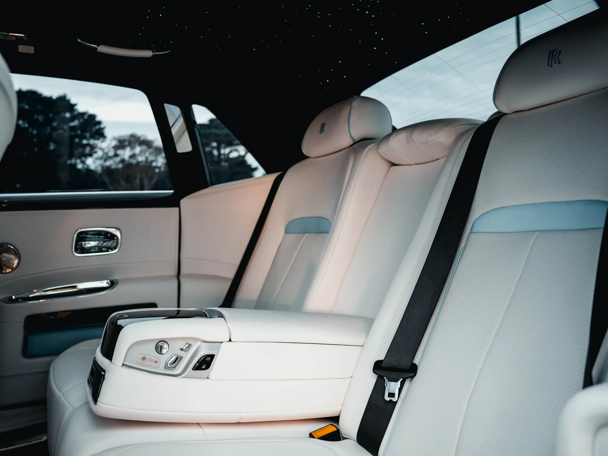 Luxury vehicle interior door panel with ambient lighting for chauffeur passenger comfort